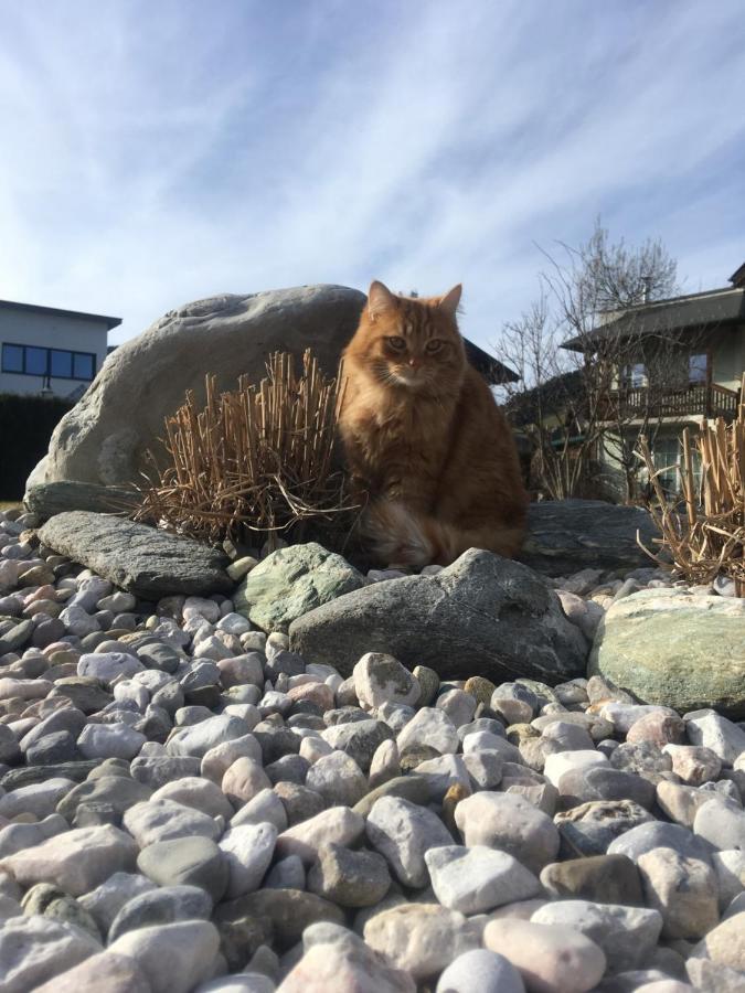 Haus Gruber Lägenhet Altenmarkt im Pongau Exteriör bild
